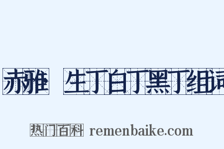 赤雅·生丁白丁黑丁组词是什么意思的图片